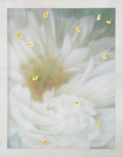 최윤정_Aura09-93_91X72cm_Mixed coloring on silk_2009